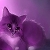 Jeu Purple fantastic cat puzzle