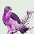 Jeu Purple tree bird slide puzzle