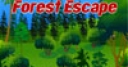 Jeu Rain Forest Escape