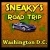 Jeu Sneaky’s Road Trip – Washington DC