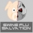 Swine Flu: Salvation